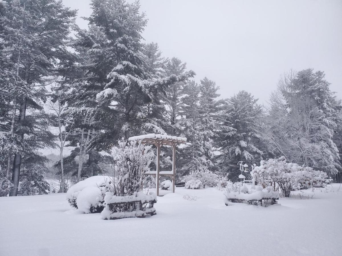 Dwight Spring Lake Resort מראה חיצוני תמונה