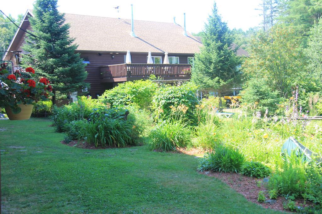 Dwight Spring Lake Resort מראה חיצוני תמונה